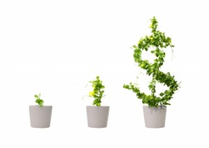 growing money tree