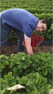 picking strawberries at a nearby farm in May