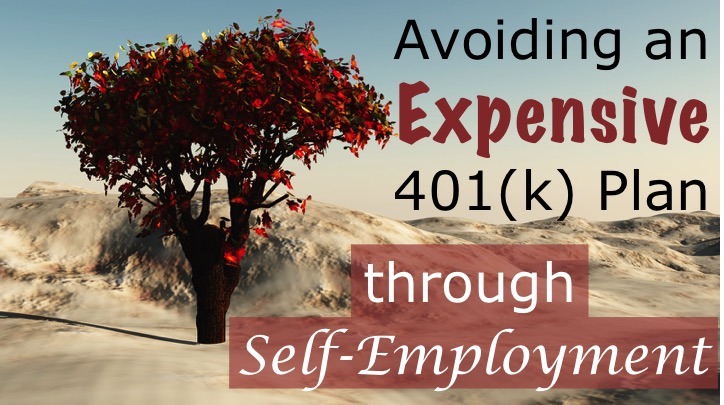 Avoiding an Expensive 401(k) Plan through Self-Employment