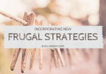 Incorporating New Frugal Strategies
